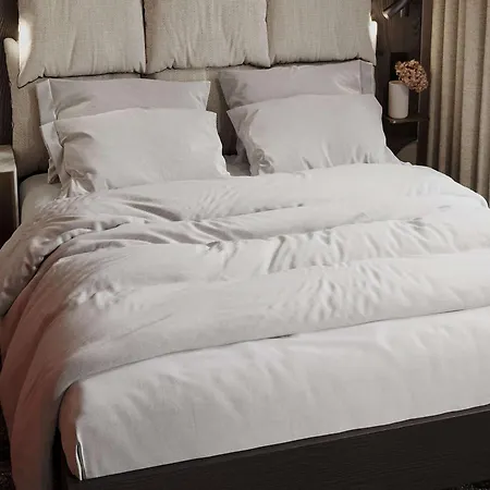 Hotel Mercure Centre Brotteaux 4*